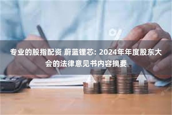 专业的股指配资 蔚蓝锂芯: 2024年年度股东大会的法律意见书内容摘要