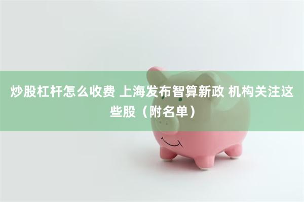 炒股杠杆怎么收费 上海发布智算新政 机构关注这些股（附名单）