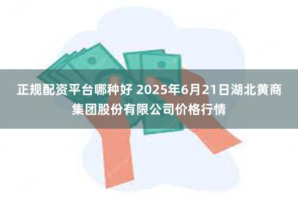 正规配资平台哪种好 2025年6月21日湖北黄商集团股份有限公司价格行情