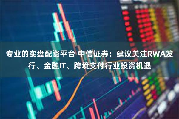专业的实盘配资平台 中信证券：建议关注RWA发行、金融IT、跨境支付行业投资机遇