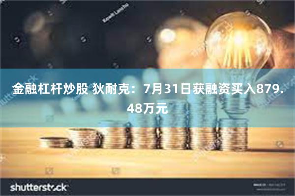 金融杠杆炒股 狄耐克：7月31日获融资买入879.48万元