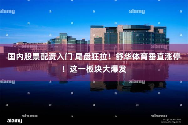 国内股票配资入门 尾盘狂拉！舒华体育垂直涨停！这一板块大爆发