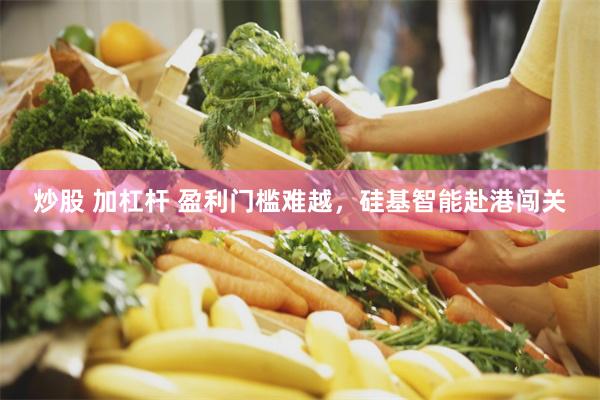 炒股 加杠杆 盈利门槛难越，硅基智能赴港闯关