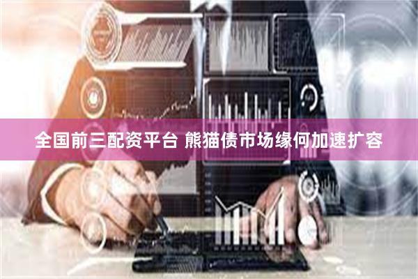 全国前三配资平台 熊猫债市场缘何加速扩容