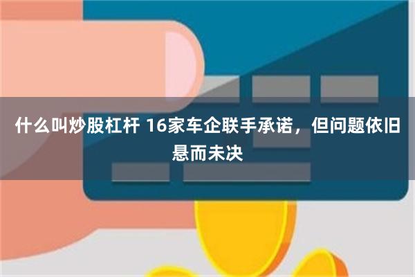 什么叫炒股杠杆 16家车企联手承诺，但问题依旧悬而未决