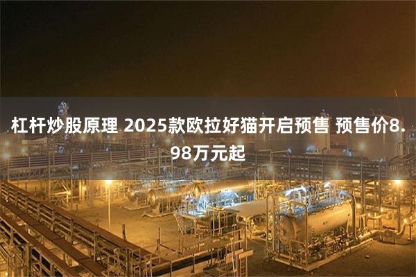 杠杆炒股原理 2025款欧拉好猫开启预售 预售价8.98万元起