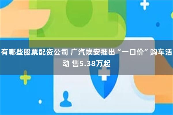 有哪些股票配资公司 广汽埃安推出“一口价”购车活动 售5.38万起