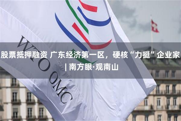 股票抵押融资 广东经济第一区，硬核“力挺”企业家 | 南方眼·观南山