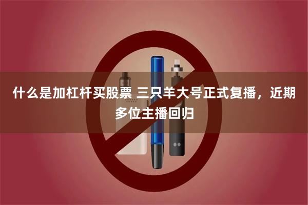 什么是加杠杆买股票 三只羊大号正式复播,近期多位主播回归