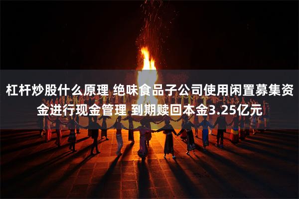 杠杆炒股什么原理 绝味食品子公司使用闲置募集资金进行现金管理 到期赎回本金3.25亿元