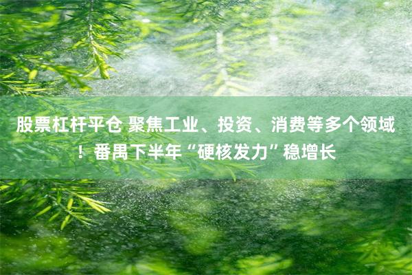 股票杠杆平仓 聚焦工业、投资、消费等多个领域！番禺下半年“硬核发力”稳增长