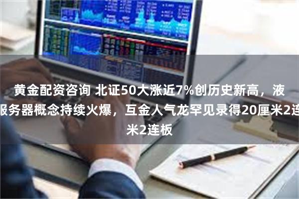 黄金配资咨询 北证50大涨近7%创历史新高，液冷服务器概念持续火爆，互金人气龙罕见录得20厘米2连板