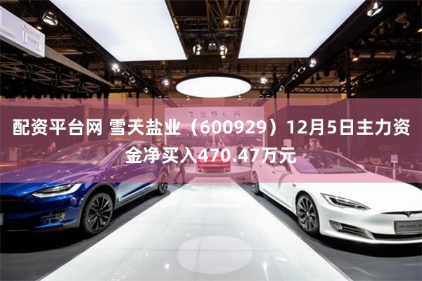 配资平台网 雪天盐业（600929）12月5日主力资金净买入470.47万元