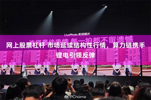 网上股票杠杆 市场延续结构性行情，算力链携手锂电引领反弹