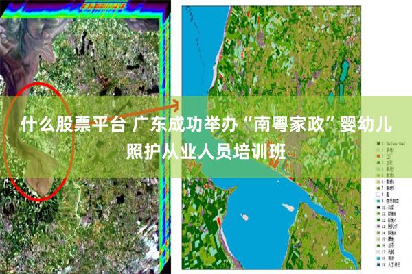 什么股票平台 广东成功举办“南粤家政”婴幼儿照护从业人员培训班