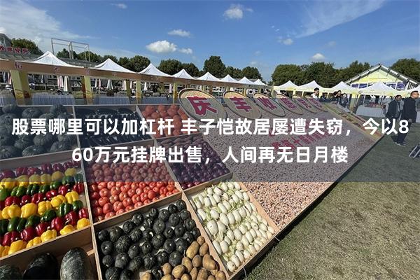 股票哪里可以加杠杆 丰子恺故居屡遭失窃，今以860万元挂牌出售，人间再无日月楼