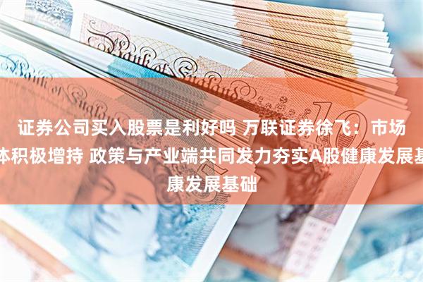 证券公司买入股票是利好吗 万联证券徐飞:市场主体积极增持 政策与产业端共同发力夯实A股健康发展基础