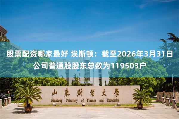 股票配资哪家最好 埃斯顿：截至2026年3月31日公司普通股股东总数为119503户