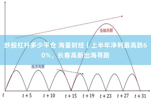 炒股杠杆多少平仓 海量财经丨上半年净利最高跌60%，长春高新出海寻路