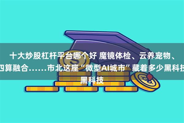 十大炒股杠杆平台哪个好 魔镜体检、云养宠物、四算融合……市北这座“微型AI城市”藏着多少黑科技