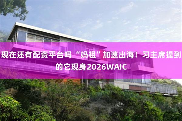 现在还有配资平台吗 “妈祖”加速出海！习主席提到的它现身2026WAIC