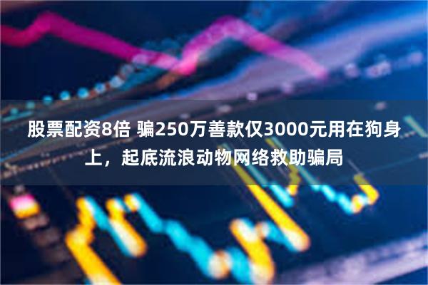 股票配资8倍 骗250万善款仅3000元用在狗身上,起底流浪动物网络救助骗局