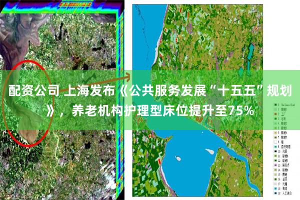 配资公司 上海发布《公共服务发展“十五五”规划》，养老机构护理型床位提升至75%