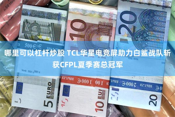哪里可以杠杆炒股 TCL华星电竞屏助力白鲨战队斩获CFPL夏季赛总冠军