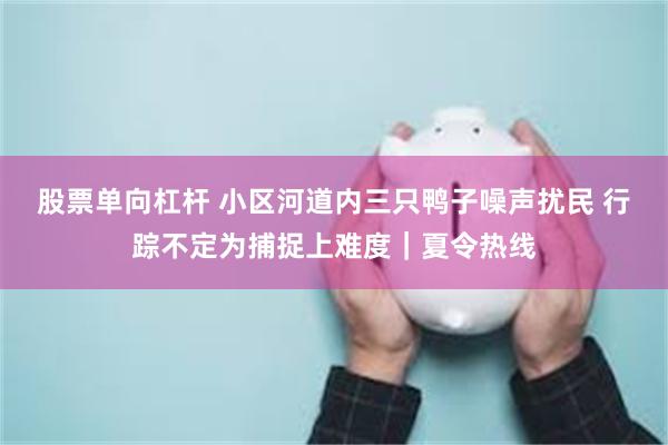 股票单向杠杆 小区河道内三只鸭子噪声扰民 行踪不定为捕捉上难度｜夏令热线