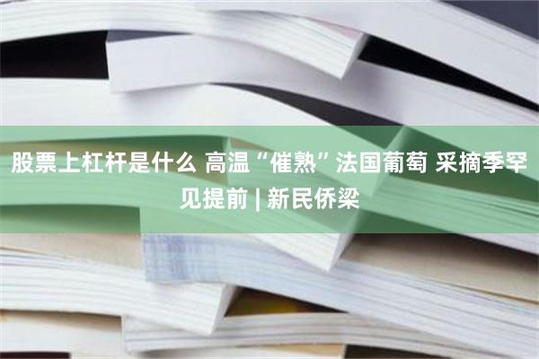 股票上杠杆是什么 高温“催熟”法国葡萄 采摘季罕见提前 | 新民侨梁