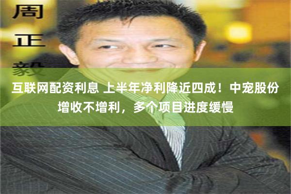 互联网配资利息 上半年净利降近四成！中宠股份增收不增利，多个项目进度缓慢