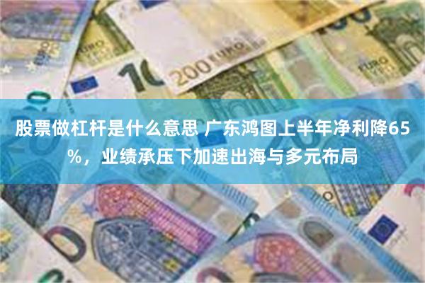 股票做杠杆是什么意思 广东鸿图上半年净利降65%，业绩承压下加速出海与多元布局
