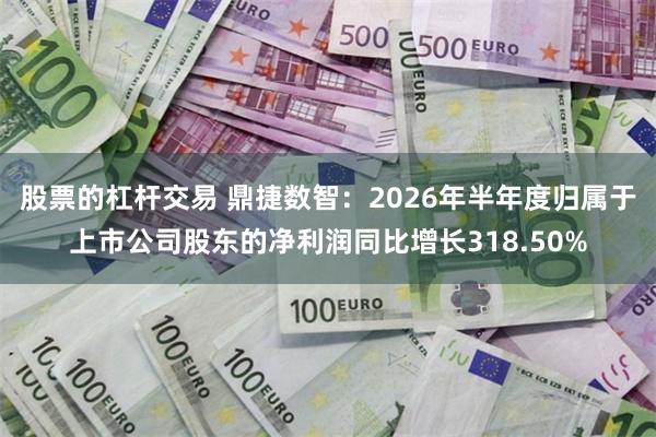 股票的杠杆交易 鼎捷数智：2026年半年度归属于上市公司股东的净利润同比增长318.50%