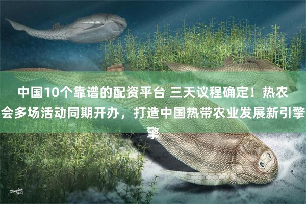 中国10个靠谱的配资平台 三天议程确定!热农会多场活动同期开办,打造中国热带农业发展新引擎
