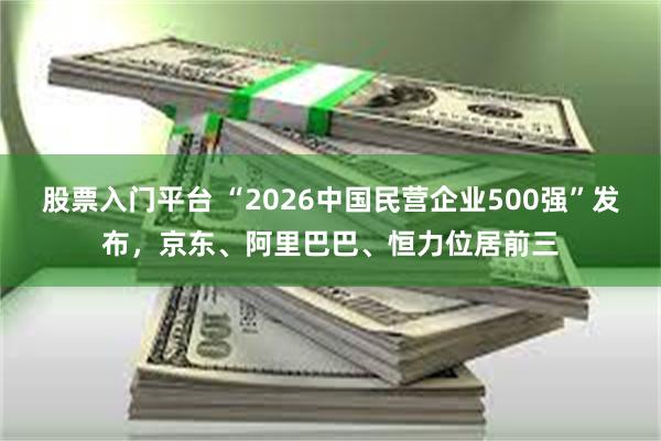 股票入门平台 “2026中国民营企业500强”发布，京东、阿里巴巴、恒力位居前三