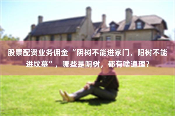 股票配资业务佣金 “阴树不能进家门，阳树不能进坟墓”，哪些是阴树，都有啥道理？