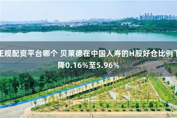 正规配资平台哪个 贝莱德在中国人寿的H股好仓比例下降0.16%至5.96%