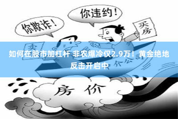 如何在股市加杠杆 非农爆冷仅2.9万！黄金绝地反击开启中