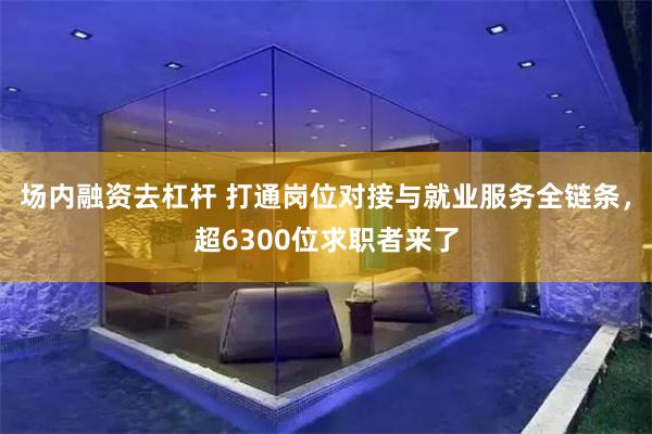 场内融资去杠杆 打通岗位对接与就业服务全链条,超6300位求职者来了