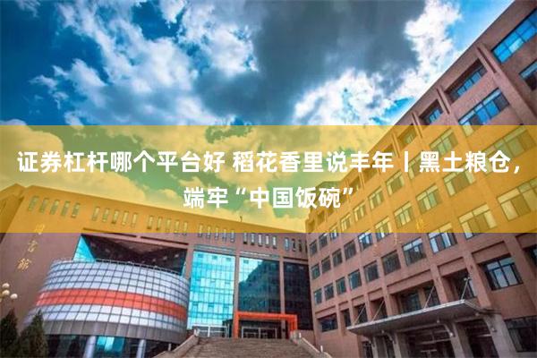 证券杠杆哪个平台好 稻花香里说丰年丨黑土粮仓,端牢“中国饭碗”